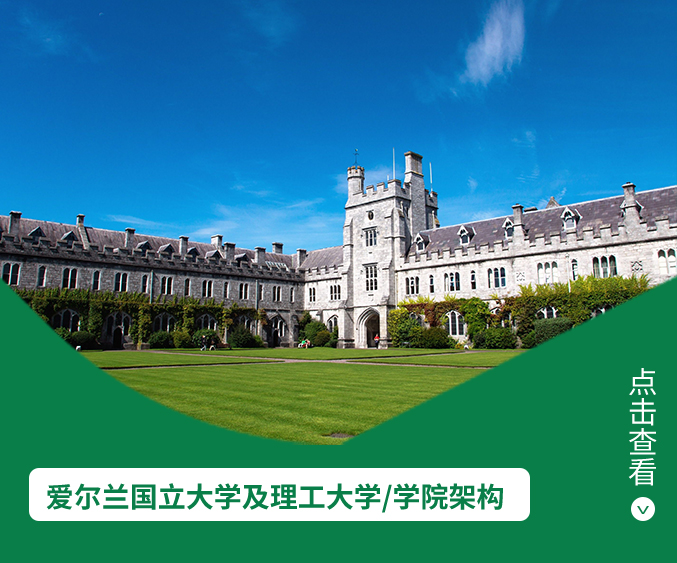爱尔兰国立大学及理工大学/学院架构 