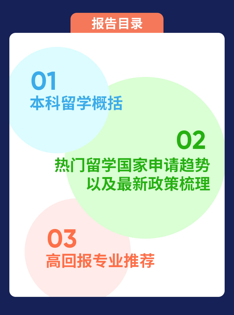报告目录