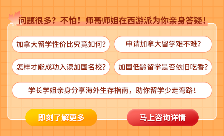 问题很多？不怕！师哥师姐在西游派为你亲身答疑！